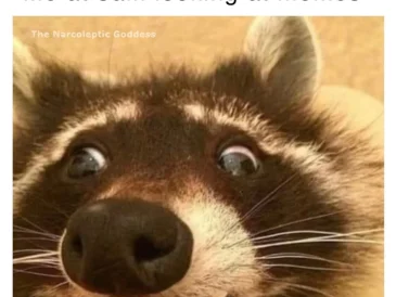Sleep_meme